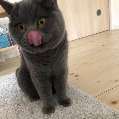 ojiiiii6's profile picture. 