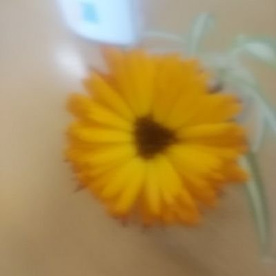 日高由美 シューイチに渡辺謙さんが出ています 今見ています 外は相変わらずの天気 で テレビのほうが優先になっています 早く晴れないかなぁ 日高由美 シューイチに渡辺謙さんが出ています 今見ています 外は相変わらずの天気 で テレビのほうが優先になっています 早く晴れないかなぁ