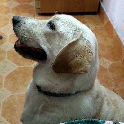 MohamedRaffiS's profile picture. Photographer