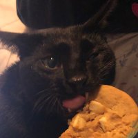 Shy (@ingallsshauna) 's Twitter Profile