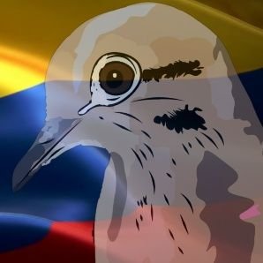 PaloYT2's profile picture. Aveces subo videos en el yutu
https://t.co/v1OiWBkArc…
no pregunten cuando nomas dejémoslo en el a veces XD
me gusta hacer videojuegos
decir XD