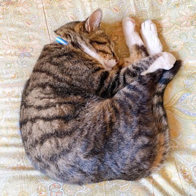 emaさんのプロフィール画像