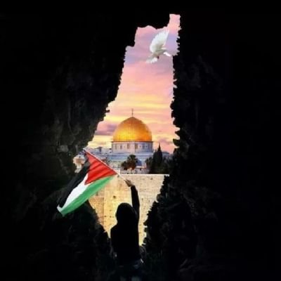 قراءة سورة الملك ( تبارك) كل ليلة.........!!!!!!
