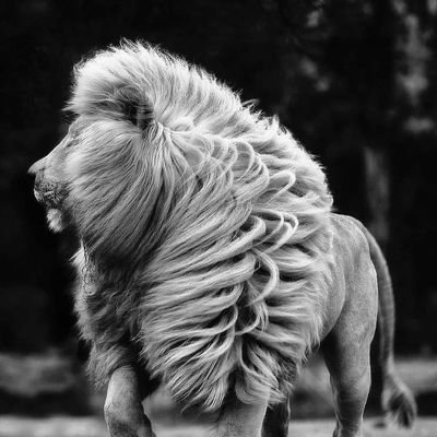 deepakk95486051's profile picture. 