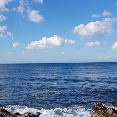 GricelAcosta1's profile picture. UN Development Program, Cuba.
Team Leader, Nature, Climate and Energy.
#Science #Technology
#Innovation. 
Views my own. 
RT ≠ endorsements