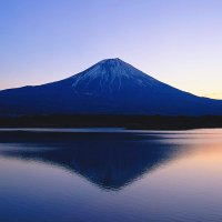 toshikun🌼 (@toshikunmaster) 's Twitter Profile