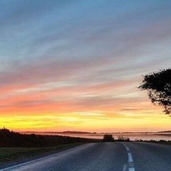 beatafriend12's profile picture. 