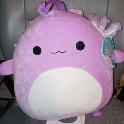 squishmallow lover,collector and seller.