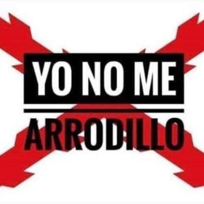 #YoNoVoto #libertadconstituyente #juntademocratica #ExpedienteRoyuela #ACODAP #luchacontralacorrupcion