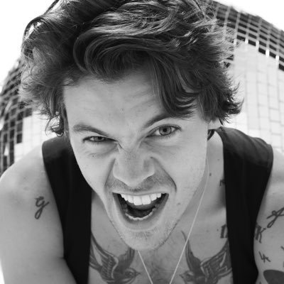 one direction - harry styles