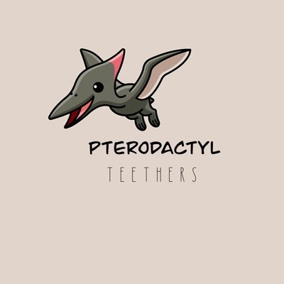 PteroTeethers's profile picture. A young mom hand crafting safe, durable baby products such as pacifier clips, teething rings and clips and more!