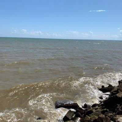 NellaiVignesh's profile picture. 