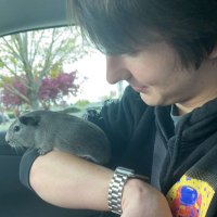 Zen Capton (@zenjamincap) 's Twitter Profile