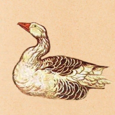 botter/Kaggle/Energy/Renewable Energy/Date Scientist/Data Analyst