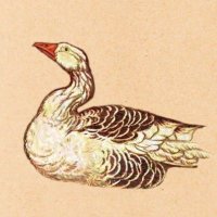 Coffee@アメリカ駐在🇺🇸 (@coffeefruit2) 's Twitter Profile