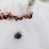 bintî Kurdî 🕊️ (@kalbi_veram) 's Twitter Profile