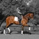 Casey Nilsson - @kcnilsson - Twitter