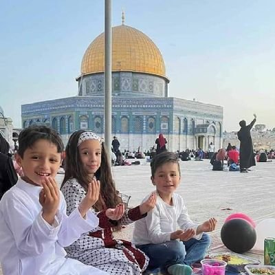 u8IIf5NPmcOvikP's profile picture. 