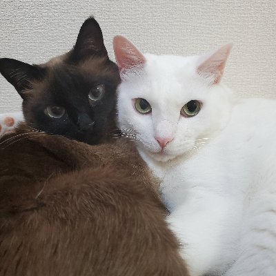 m.hideさんのプロフィール画像