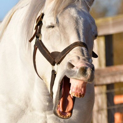 ATestbench's profile picture. APIで色々やる用