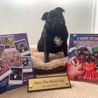 A Dave The Black Pug Book (@davetheblackpug) 's Twitter Profile