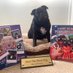 A Dave The Black Pug Book (@davetheblackpug) Twitter profile photo A Dave The Black Pug Book (@davetheblackpug) Twitter profile photo