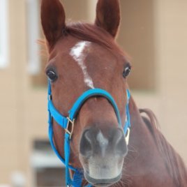 Luba11240875's profile picture. 競馬予想を公開
このアカウントでは公開してません
【twitter】https://t.co/7icgC6QzaK
【note】https://t.co/issnj8gJRJ