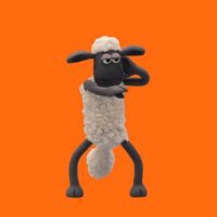 nghia hoang (@nghiahoangdev) 's Twitter Profile