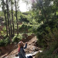 Behiye (@bhysnmzdb) Twitter profile photo