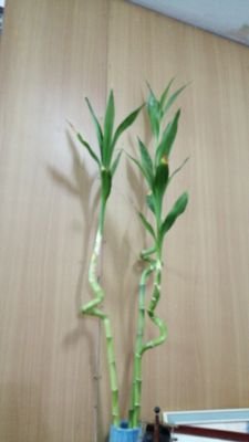 Yun10583051's profile picture. เมื่อพูดแล้วต้องฟัง