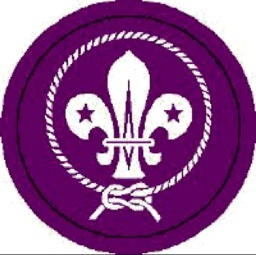 Scout group.