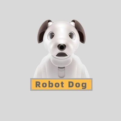 Rdog is the only token of Robot Dog ecology and will be used for community payment of digital artwork NFT.