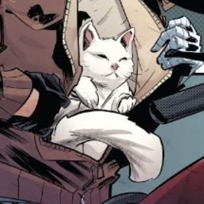 dailyalpine's profile picture. pet cat of bucky barnes | not associated with marvel. https://t.co/1uZ8CwLxAz