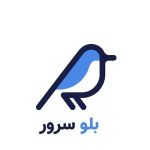 بلوسرور ارایه دهنده سرور مجازی (VPS) ، هاست وردپرس