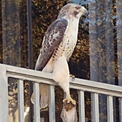Alwerd116's profile picture. 