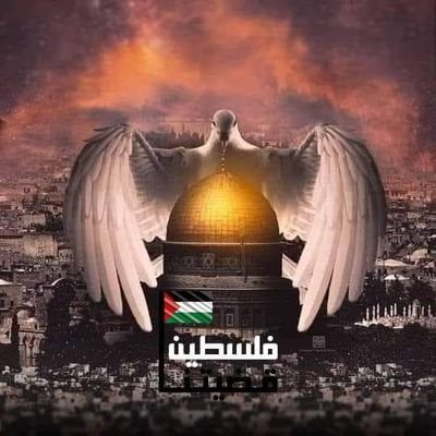 كن مع الله ولا تبالي يكن الله معك

سناب شات
https://t.co/BGpGTbsjDg
إنستقرام
https://t.co/bVKj91KBQY