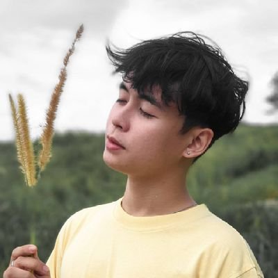 Content Creator