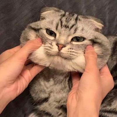 Misaka07323650's profile picture. 