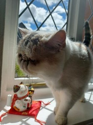 YT98022289's profile picture. 