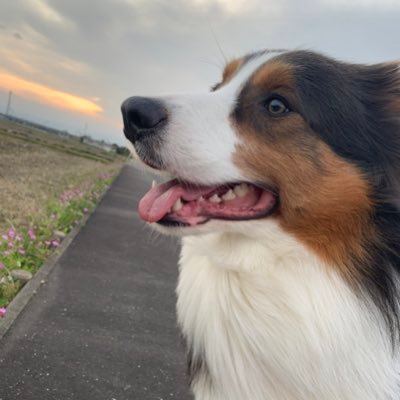 GwOHuajnYNOwKIW's profile picture. 己書 28期師範✨ あられ屋です😊✨   楽しいく学ぶのが好き💖✨ 楽しくなければもったいない🤣✨ Life is short💖あっという間だもんね😆✨💕