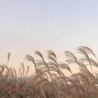 🪐 (@eajgguk) 's Twitter Profile