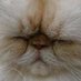 โค๏ธโ๐ฅ (@forsakes) Twitter profile photo โค๏ธโ๐ฅ (@forsakes) Twitter profile photo