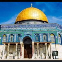 Alaa Ashraf (@alaaashraf53562) 's Twitter Profile