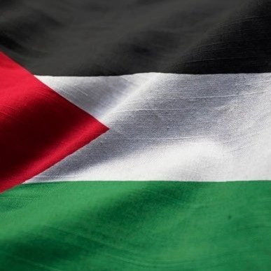 Cailín Éireannach .... Solidarity with the Palestinian People #BDS