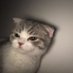 🐱แมวดื้อ. (@fh2588) Twitter profile photo 🐱แมวดื้อ. (@fh2588) Twitter profile photo