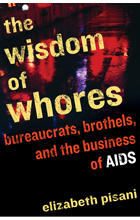 Elizabeth Pisani's blog / book - Sex, Science, Sundry Other Things - Bureaucrats, Brothels and the Business of AIDS
