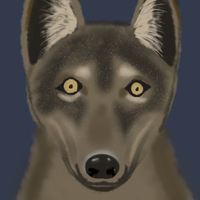 バカ狼さんのプロフィール画像