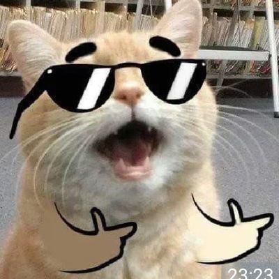 Aldy08348778's profile picture. hobi berenang