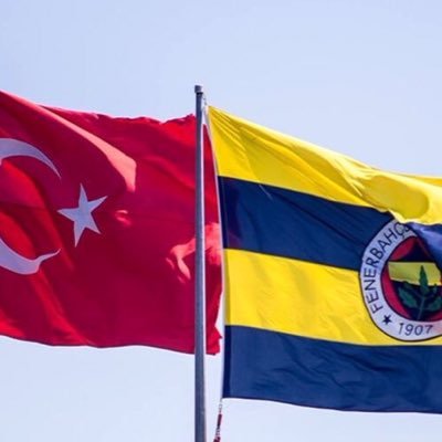 Türk, Fenerbahçe 🇹🇷🇹🇷💛💙🇹🇷🇹🇷  Fenerbahçe Kongre Üyesi