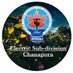 Electric Sub Div Chanapora (K.P.D.C.L) Srinagar (@sdochanapora) Twitter profile photo